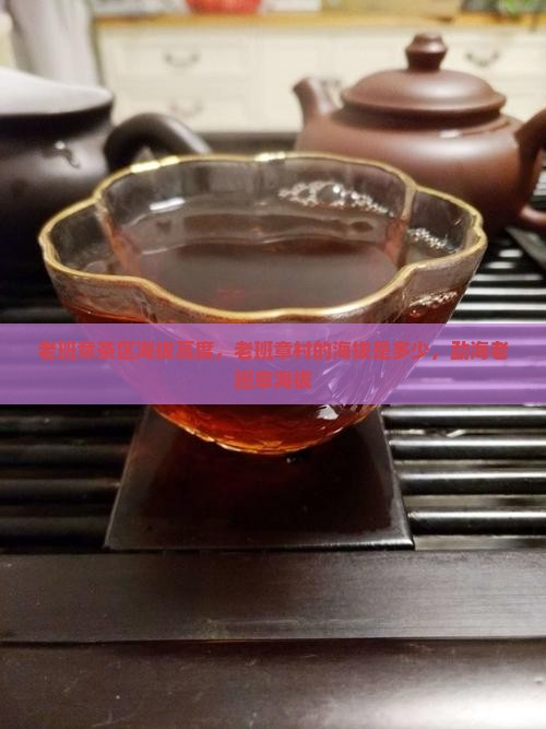 老班章茶区海拔高度