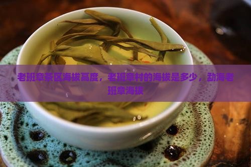 老班章茶区海拔高度