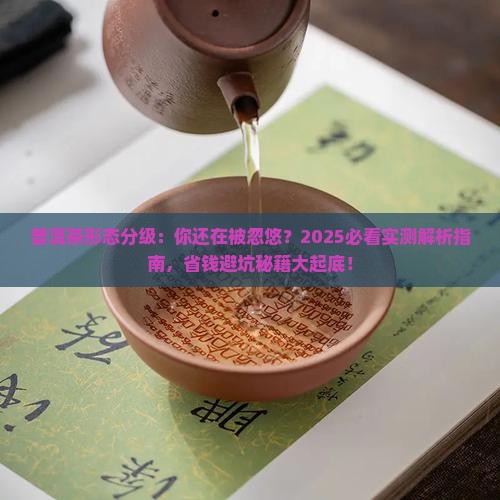 普洱茶形态分级