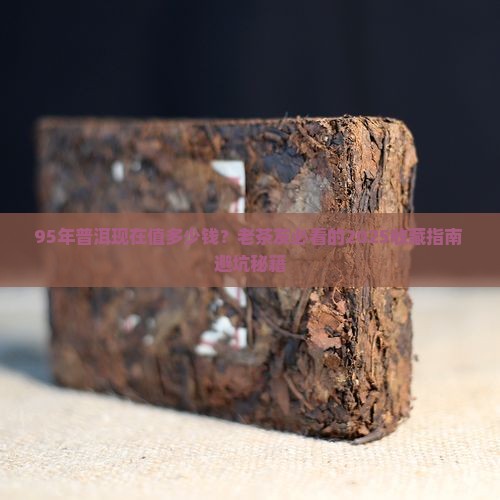 95年的普洱现在多少钱