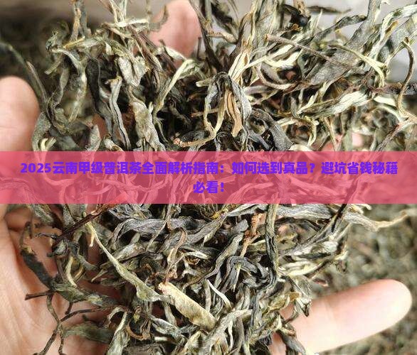 云南甲级普洱茶