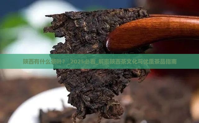陕西有什么茶叶