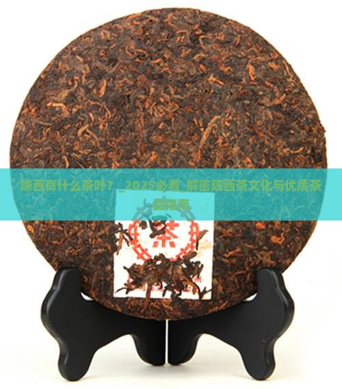 陕西有什么茶叶