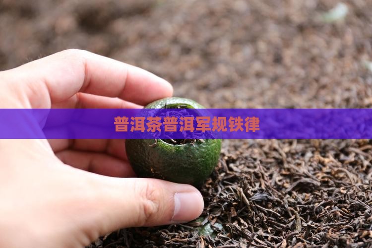 普洱茶军规铁律