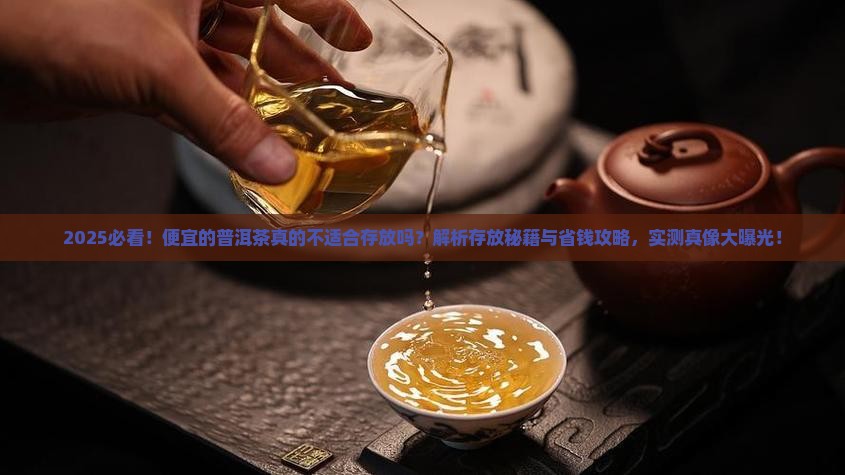 便宜的普洱茶不适合存放吗