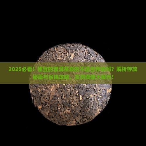 便宜的普洱茶不适合存放吗