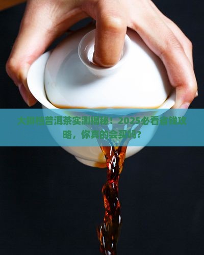 大排档普洱茶怎么样卖