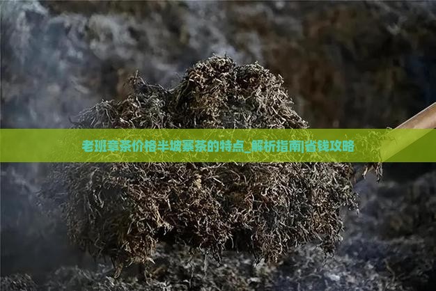 老班章茶价格半坡寨茶的特点