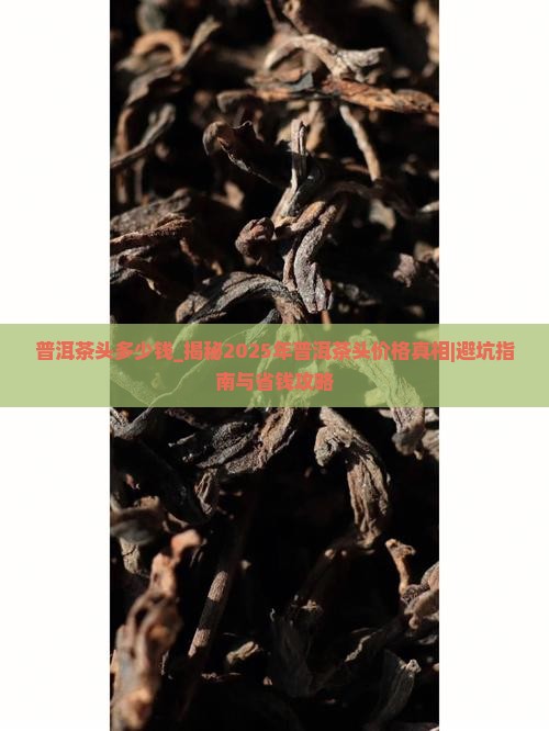 普洱茶头多少钱