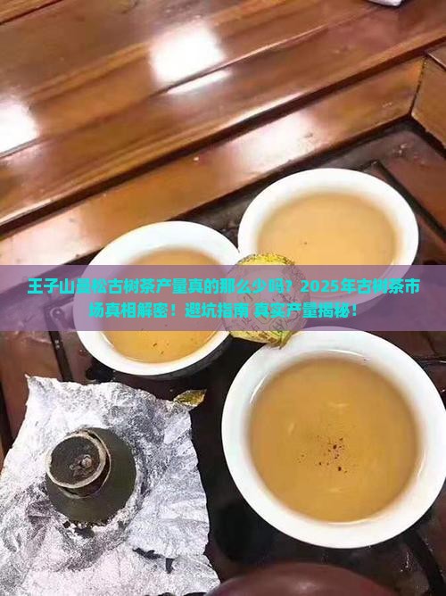 王子山曼松古树茶产量