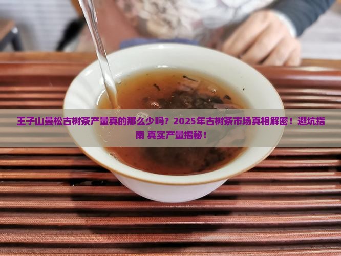 王子山曼松古树茶产量