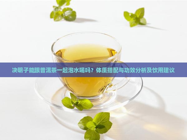 决明子能跟普洱茶一起泡着喝吗