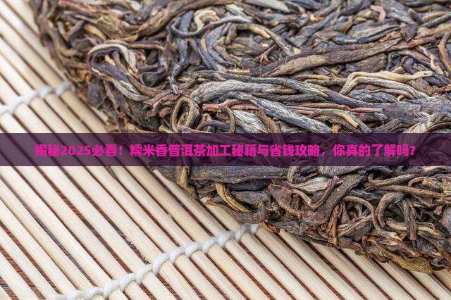 糯米香普洱茶加工
