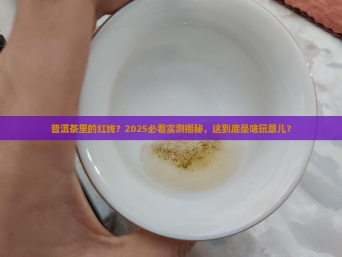 普洱茶里有红线