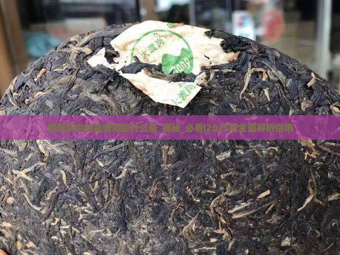 普洱茶中的金骏眉是什么茶