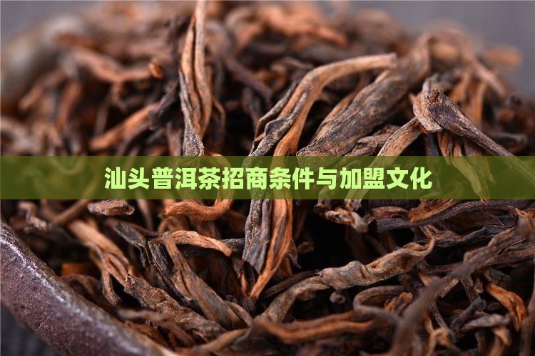 汕头普洱茶招商条件