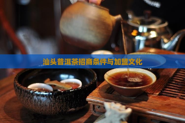 汕头普洱茶招商条件