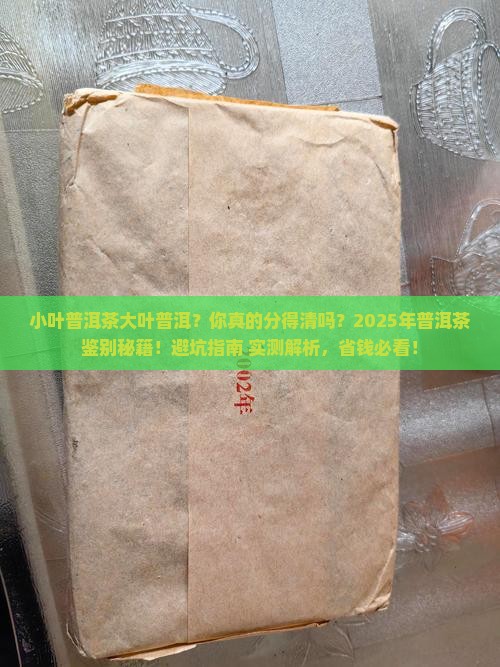 小叶普洱茶大叶普洱
