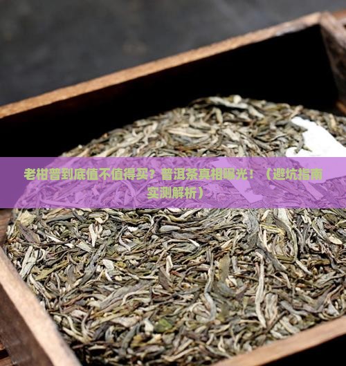 老柑普与普洱茶