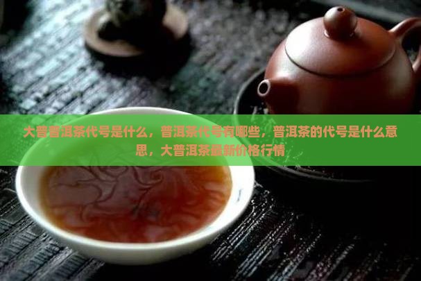 大普普洱茶代号