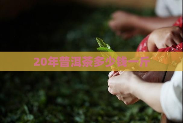 20年普洱茶多少钱一斤