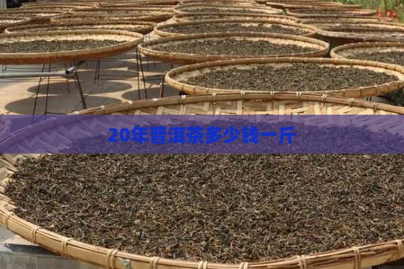 20年普洱茶多少钱一斤