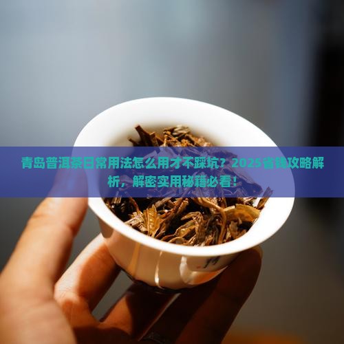 青岛普洱茶日常用法