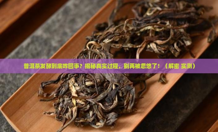 普洱茶发酵现状的认识