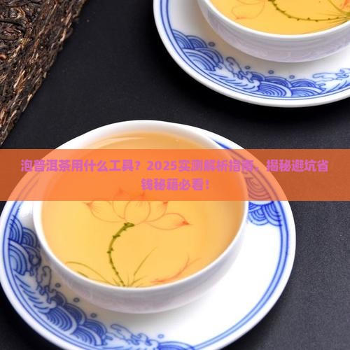 泡普洱茶用什么工具