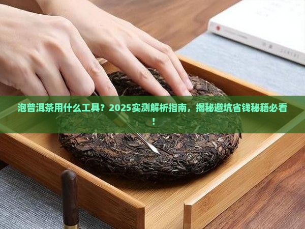 泡普洱茶用什么工具