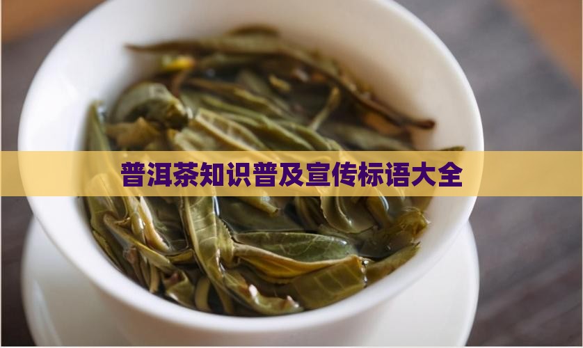 普洱茶知识普及宣传标语