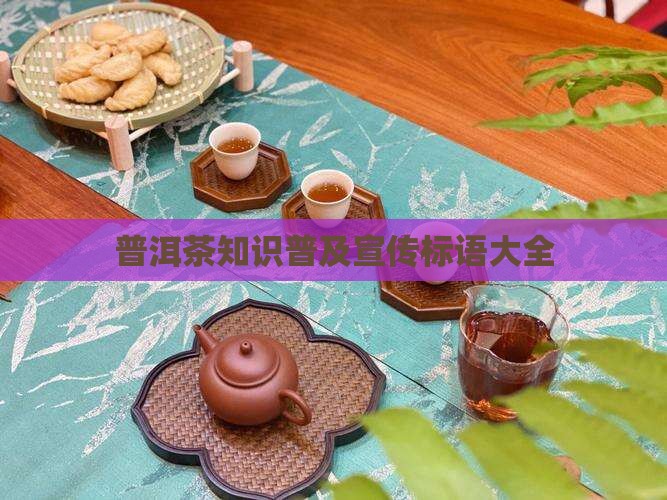 普洱茶知识普及宣传标语