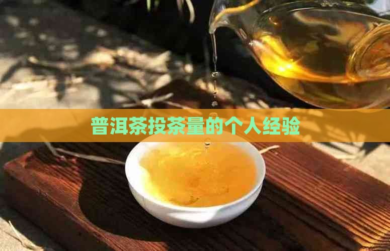 普洱茶投茶量的个人经验