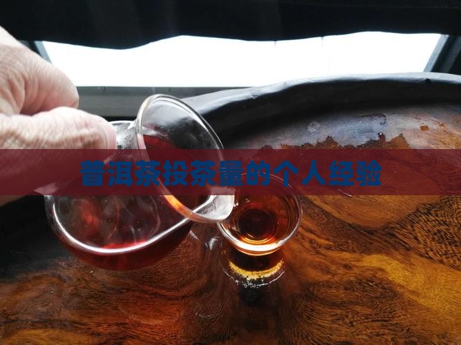 普洱茶投茶量的个人经验