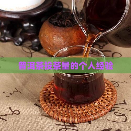 普洱茶投茶量的个人经验