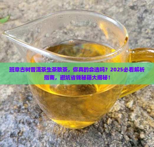 班章古树普洱茶生茶散茶