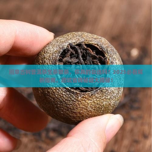班章古树普洱茶生茶散茶