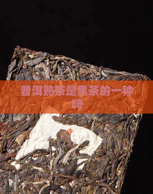 普洱熟茶是黑茶的一种吗