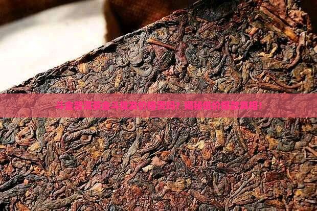 斗金普洱茶金斗批发价格