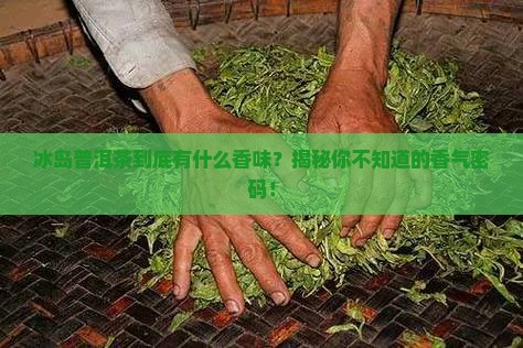 冰岛普洱茶香味特点