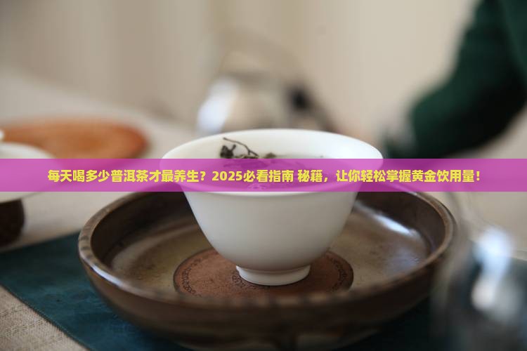 每天喝多少普洱茶