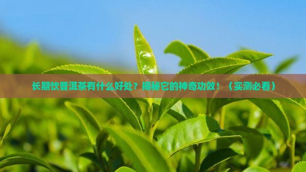 长期饮普洱茶有什么好处
