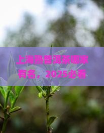 上海熟普洱茶哪家有名