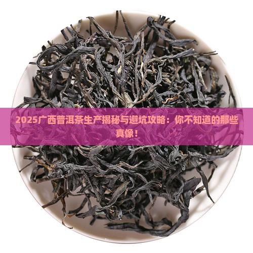 广西普洱茶生产
