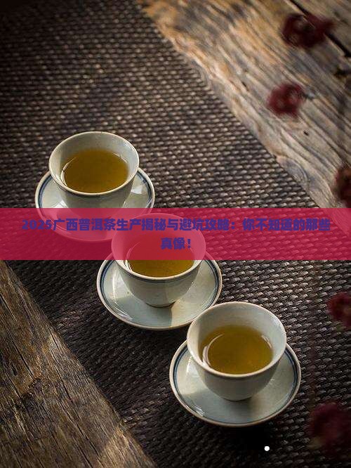 广西普洱茶生产