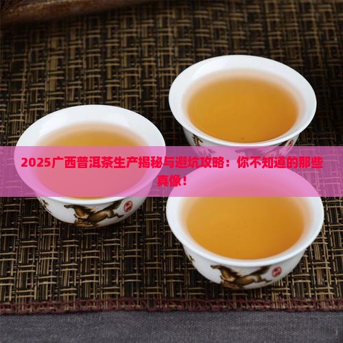 广西普洱茶生产