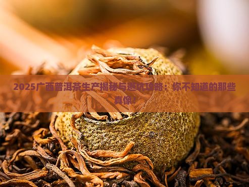 广西普洱茶生产