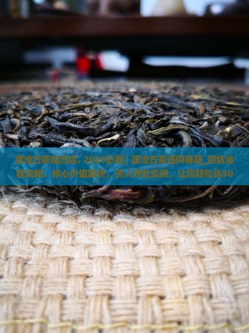 澜沧古茶临汾店