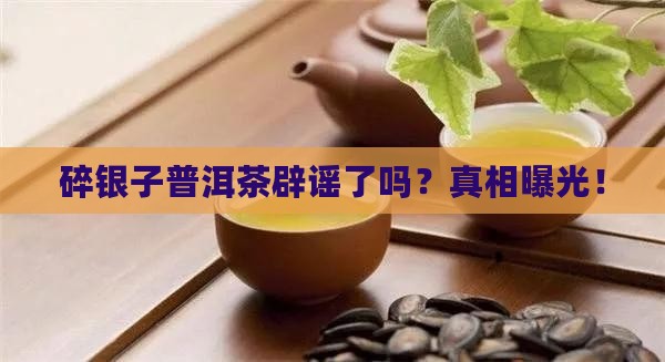 碎银子普洱茶辟谣了吗