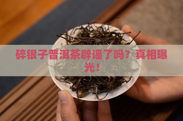 碎银子普洱茶辟谣了吗